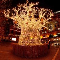 Giáng sinh ngập nắng ở Nam bán cầu