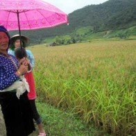 Mường La ơi! Hội đã tan rồi…!