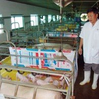 Nông dân thành tỷ phú: Có tri thức, dễ kiếm tiền tỷ