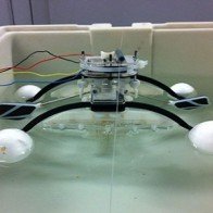 Chế tạo thành công robot có thể ăn thực phẩm để tạo năng lượng