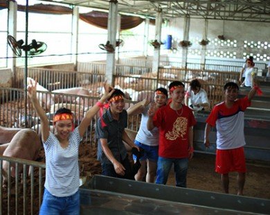 Orfarm tổ chức farmtrip thăm quan trang trại EM GREEN Thủy Thiên Nhu