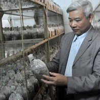 Trồng nầm sạch kiếm tiền tỷ mỗi năm