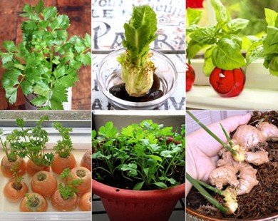 10 loại rau trồng kiểu 