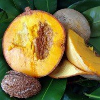 Táo Mỹ lõi vàng thoạt nhìn ngỡ hồng xiêm cỡ "khủng"