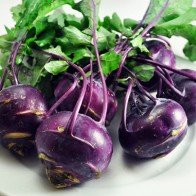 Trồng su hào tím tại nhà: Nhuộm sắc tím cho vườn thêm xinh