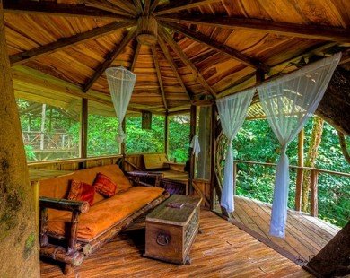 Khách sạn nhà cây đẹp như mơ ở Costa Rica