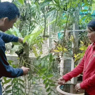 Trồng lan - vừa làm vừa chơi, mỗi năm bỏ túi 150 triệu đồng