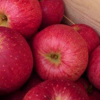 Dòng táo ngon nhất Nhật Bản chính thức vào Việt Nam