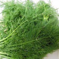 Top 7 lợi ích sức khỏe của rau thì là