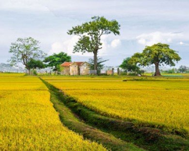 Tour du lịch đồng quê hoài niệm hút khách đến Khánh Hòa
