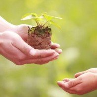 Quý nhân mang đến vận may cho 12 cung hoàng đạo trong năm 2017 là ai?