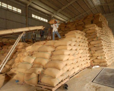 “Cởi trói” cho gạo xuất khẩu
