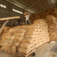“Cởi trói” cho gạo xuất khẩu