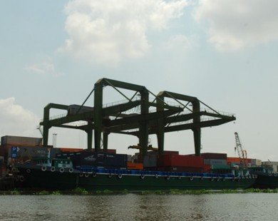 Chi 5.800 tỷ xây dựng cụm cảng trung chuyển tại phường Long Bình