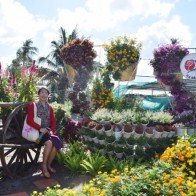 Du khách đi xe điện tham quan làng hoa lớn nhất miền Tây