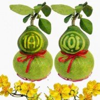 Bảng xếp hạng tài lộc năm 2017 của 12 cung hoàng đạo