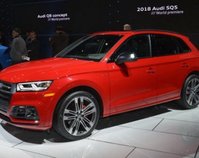 Audi SQ5 2017: 