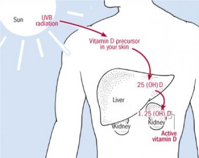 Vitamin D với sức khỏe tim mạch