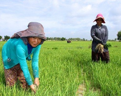 USAID đầu tư gần 160 triệu USD cho ngành nông nghiệp Campuchia