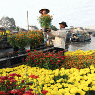 Háo hức du ngoạn chợ nổi Cái Răng ngày đầu xuân