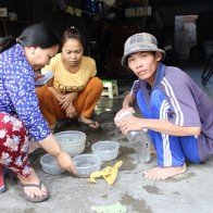 Kiếm tiền triệu mỗi ngày nhờ “bẫy” tôm hùm giống sau Tết