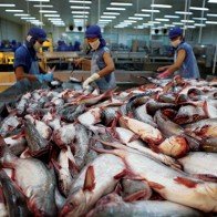 Người tiêu dùng có thể yên tâm về chất lượng cá tra Việt Nam