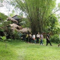 Triêm Tây – vùng đất lở thành điểm du lịch làng quê