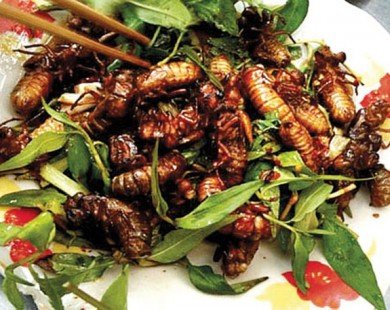 Điểm danh những món ăn Việt ngon miệng nhưng tiềm ẩn nguy hiểm