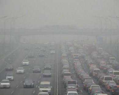 Ô nhiễm không khí làm giảm hiệu quả kháng sinh