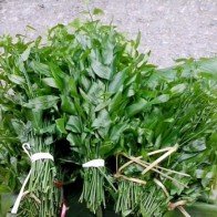 4 loại rau đặc sản của núi rừng