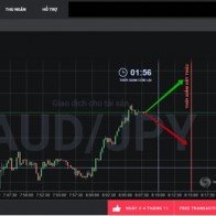 Quyền chọn nhị phân thực chất là gì?