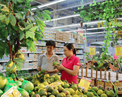 Trái cây Thái Lan, Trung Quốc lại ồ ạt vào Việt Nam