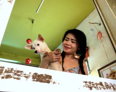 Cô nàng độc thân nuôi 91 con chó ở Sài Gòn: Chồng có thể không có, nhưng chó phải có... một đàn
