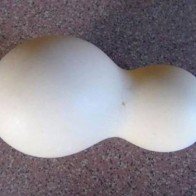Kỳ lạ: Gà đẻ trứng có hình quả hồ lô