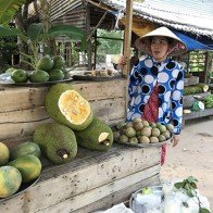 Mít Thái "siêu sớm", giá cao gấp 10 lần mít thường có gì lạ?