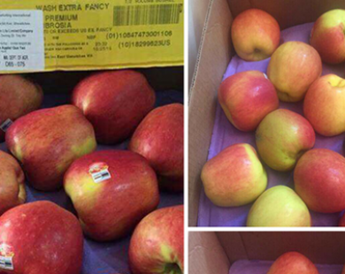 Nghi ngại táo Mỹ giá chỉ 44 nghìn đồng/kg