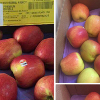 Nghi ngại táo Mỹ giá chỉ 44 nghìn đồng/kg