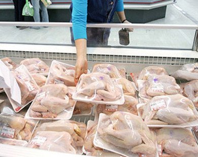 Thịt gà nhập khẩu giá trung bình 20 nghìn đồng/kg