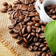 Giá giảm tại Indonesia, xuất khẩu cà phê của Việt Nam chậm lại