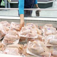 Thịt gà nhập khẩu giá trung bình 20 nghìn đồng/kg