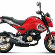 Honda MSX125SF mới giá 46,5 triệu đồng cho giới trẻ
