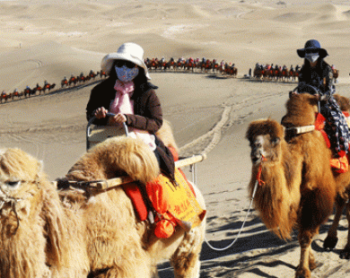 Hành trình qua miền gió cát Gobi