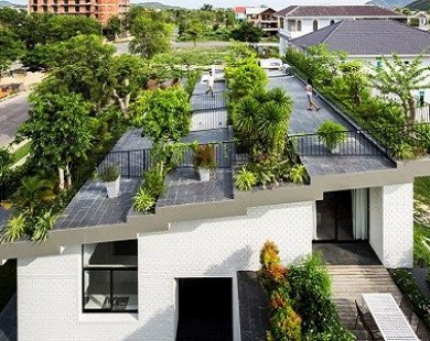 Nha Trang: Nhà có vườn cây trên mái siêu đẹp