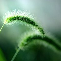 Những dấu hiệu cho thấy hôn nhân đã đến hồi kết thúc