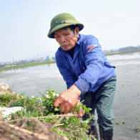 Đại dự án du lịch ở Ninh Bình: Vi phạm Luật đê điều?