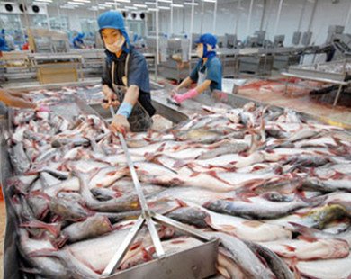 Mỹ tiếp tục áp thuế chống bán phá giá cá tra Việt Nam