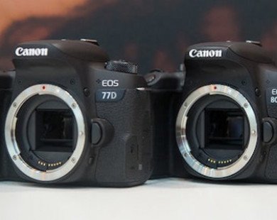 Canon giới thiệu bộ 3 máy ảnh mới: EOS 800D, 77D, M6
