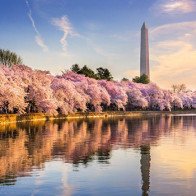 Triệu phú đô la “tụ họp” nhiều nhất ở những quốc gia nào?