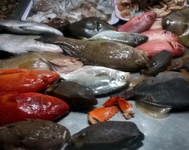 Hấp dẫn hải sản tươi rói ở chợ đêm Lý Sơn
