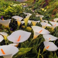 Chiêm tinh "hiến kế" để 12 cung Hoàng đạo có 1 tuần lễ êm đềm, suôn sẻ